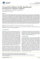 Can parasites influence insulin signaling and development of diabetes mellitus?